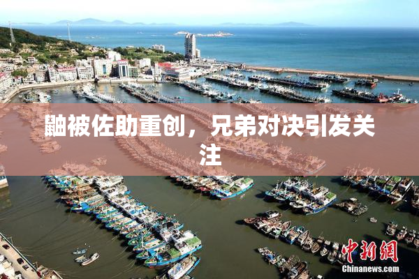 鼬被佐助重创，兄弟对决引发关注