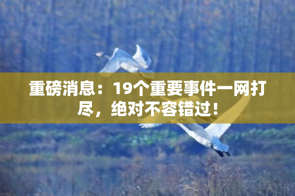 重磅消息：19个重要事件一网打尽，绝对不容错过！