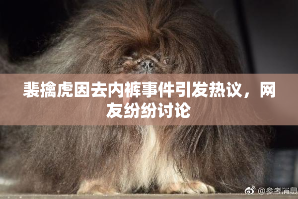裴擒虎因去内裤事件引发热议，网友纷纷讨论