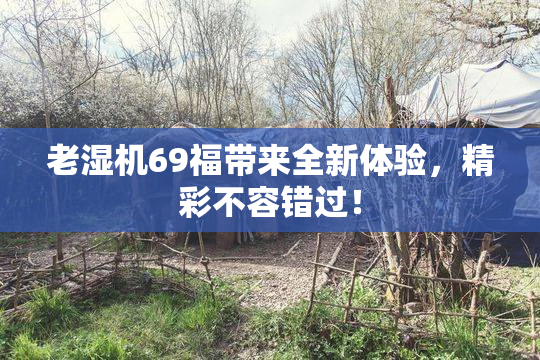 老湿机69福带来全新体验，精彩不容错过！