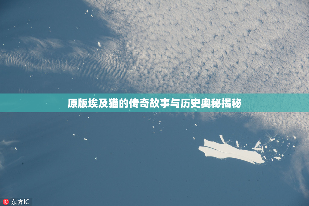 原版埃及猫的传奇故事与历史奥秘揭秘