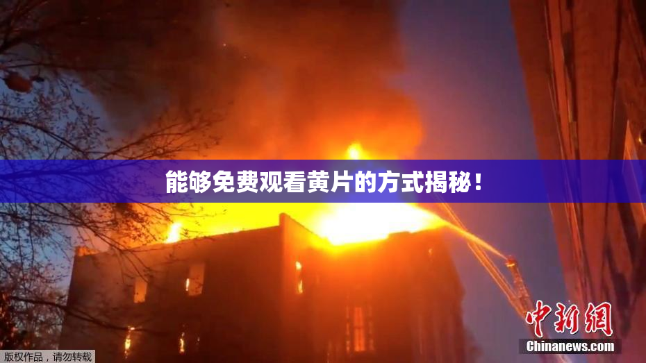 能够免费观看黄片的方式揭秘！
