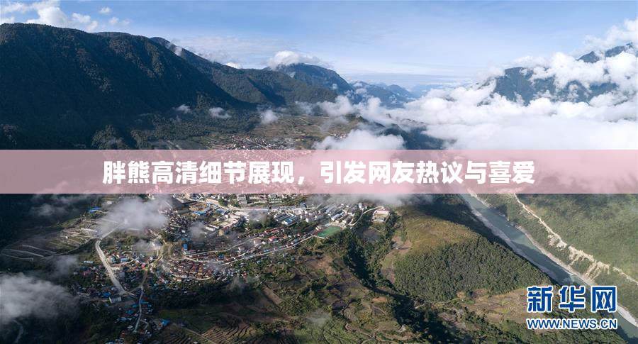 胖熊高清细节展现，引发网友热议与喜爱