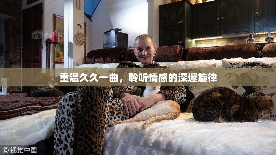重温久久一曲，聆听情感的深邃旋律