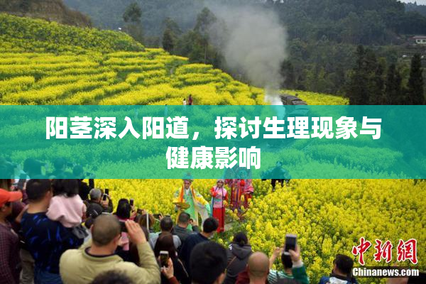 阳茎深入阳道，探讨生理现象与健康影响
