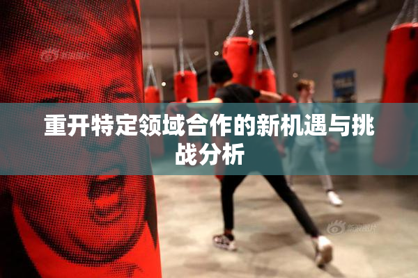 重开特定领域合作的新机遇与挑战分析