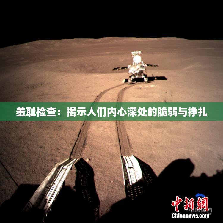 羞耻检查：揭示人们内心深处的脆弱与挣扎