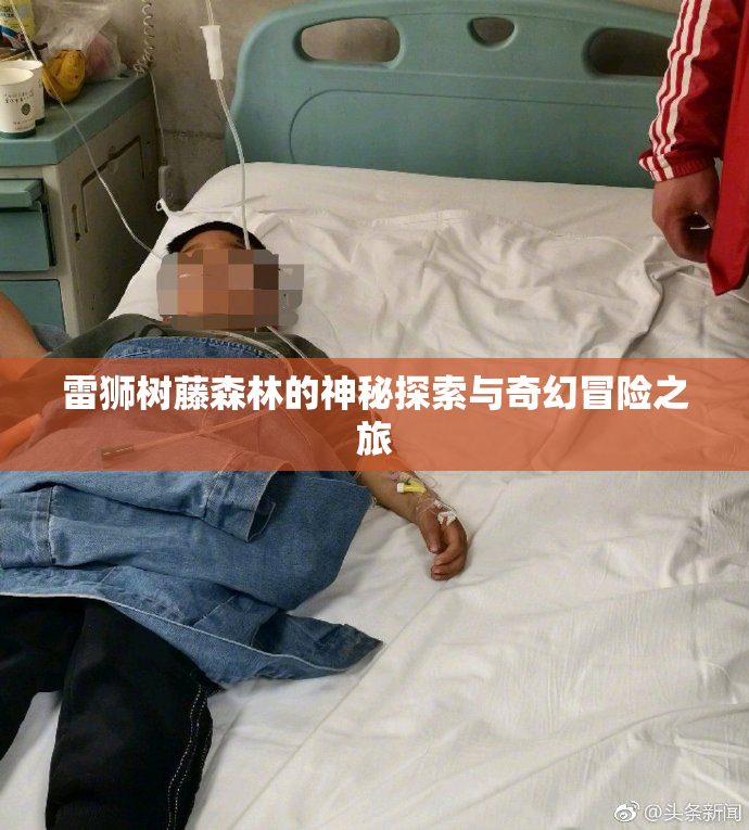 雷狮树藤森林的神秘探索与奇幻冒险之旅