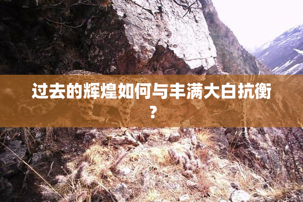 过去的辉煌如何与丰满大白抗衡？