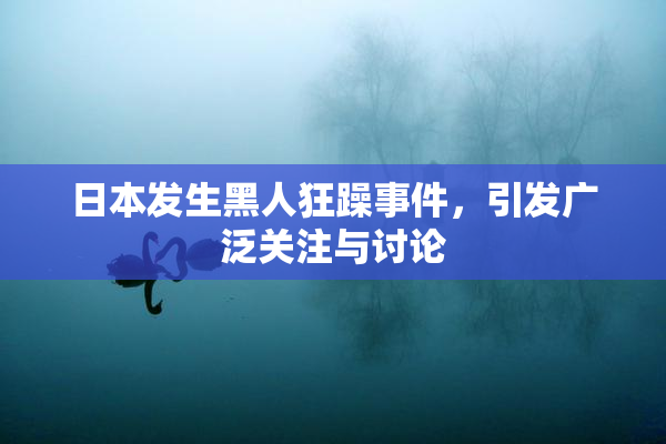 日本发生黑人狂躁事件，引发广泛关注与讨论
