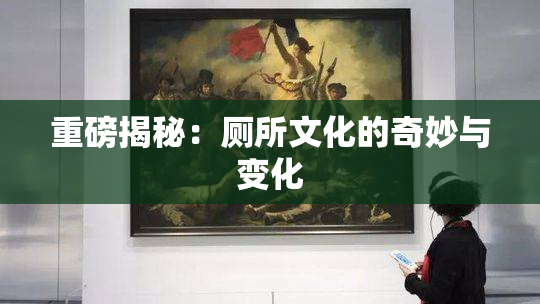 重磅揭秘：厕所文化的奇妙与变化
