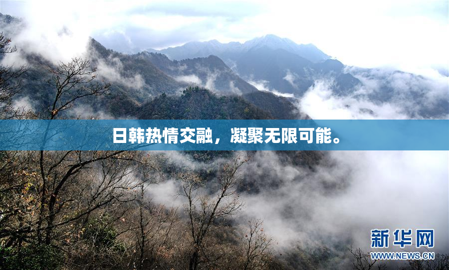 日韩热情交融，凝聚无限可能。