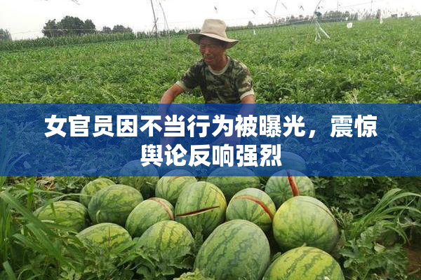 女官员因不当行为被曝光，震惊舆论反响强烈