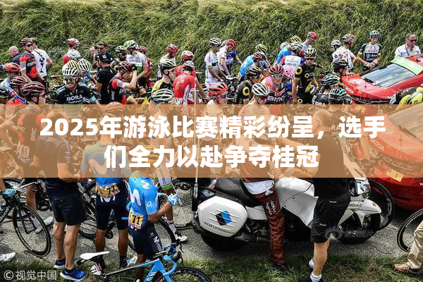 2025年游泳比赛精彩纷呈，选手们全力以赴争夺桂冠