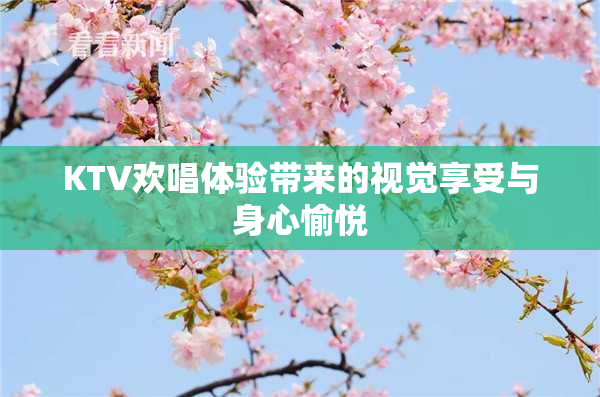 KTV欢唱体验带来的视觉享受与身心愉悦