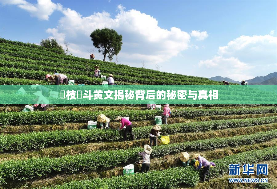 狛枝凪斗黄文揭秘背后的秘密与真相