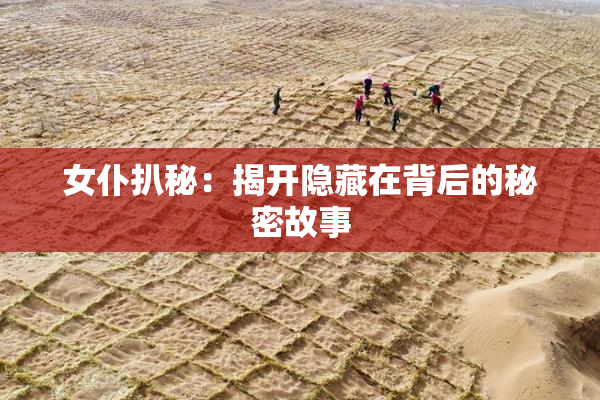 女仆扒秘：揭开隐藏在背后的秘密故事