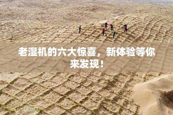 老湿机的六大惊喜，新体验等你来发现！