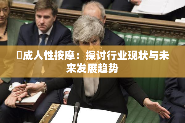 巜成人性按摩：探讨行业现状与未来发展趋势