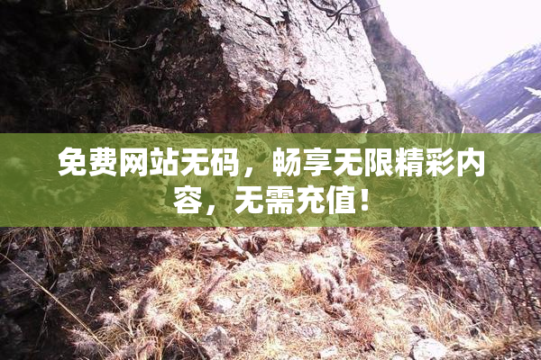免费网站无码，畅享无限精彩内容，无需充值！