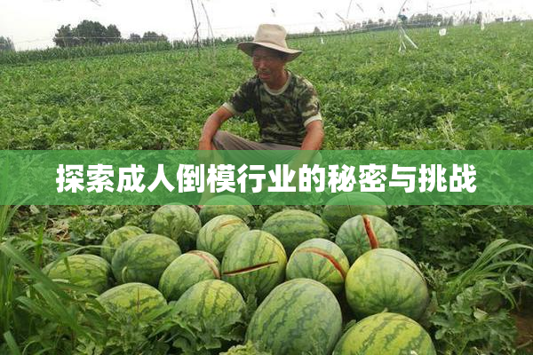 探索成人倒模行业的秘密与挑战
