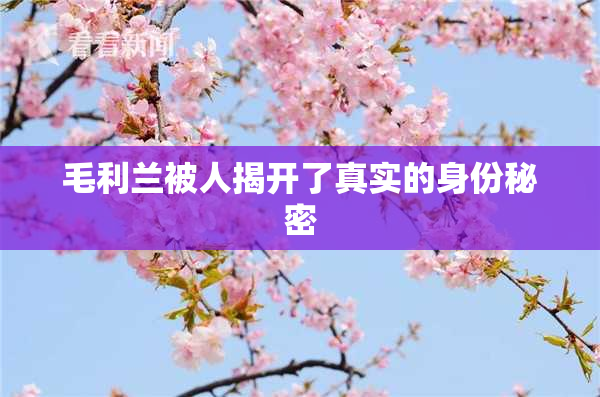 毛利兰被人揭开了真实的身份秘密