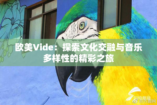 欧美Vide：探索文化交融与音乐多样性的精彩之旅