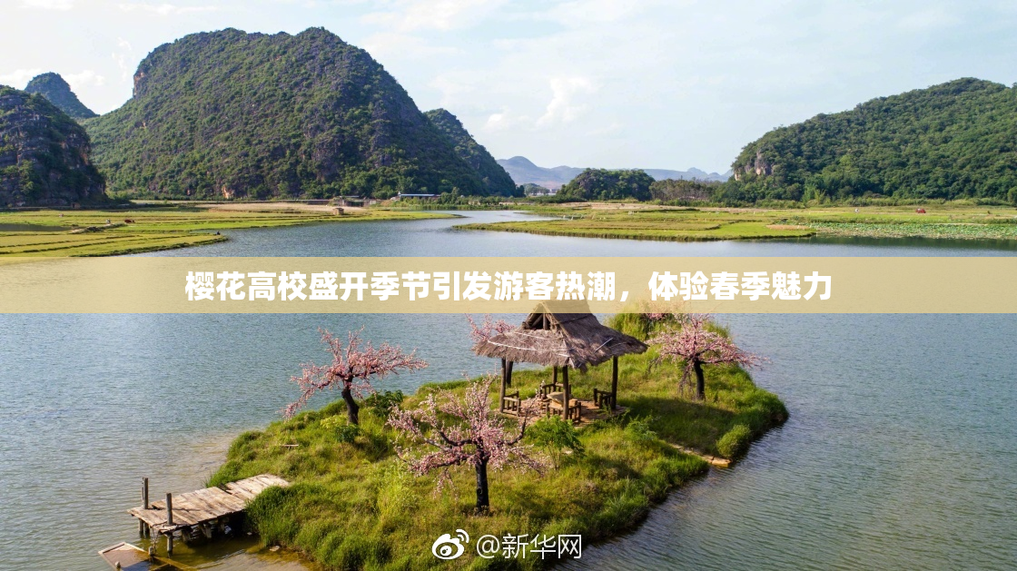 樱花高校盛开季节引发游客热潮，体验春季魅力