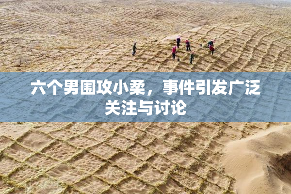 六个男围攻小柔，事件引发广泛关注与讨论
