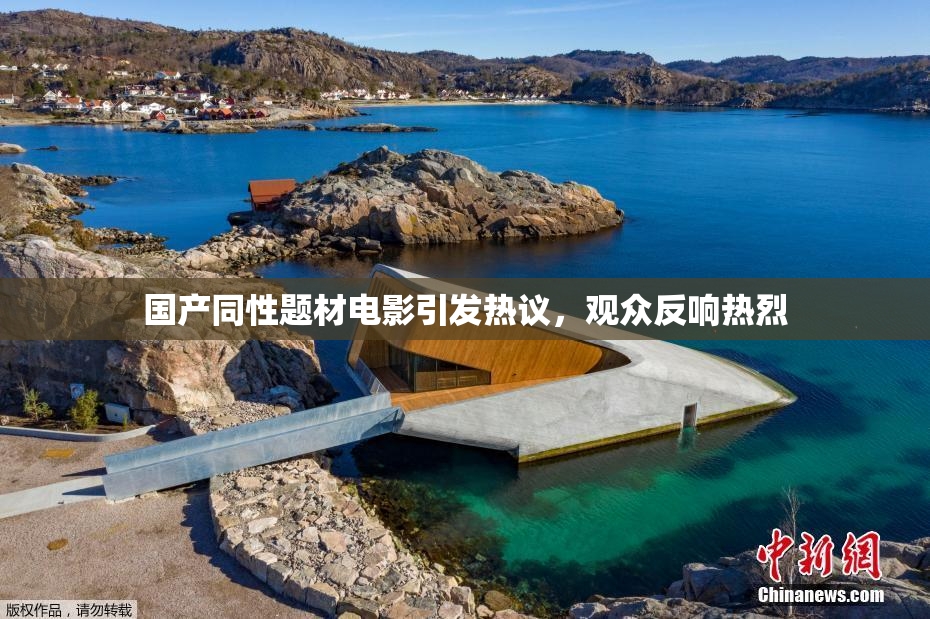 国产同性题材电影引发热议，观众反响热烈