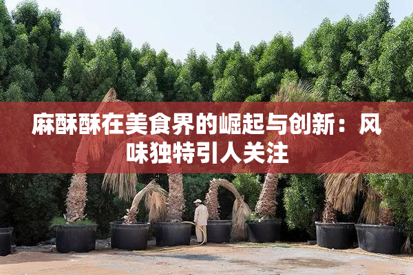 麻酥酥在美食界的崛起与创新：风味独特引人关注