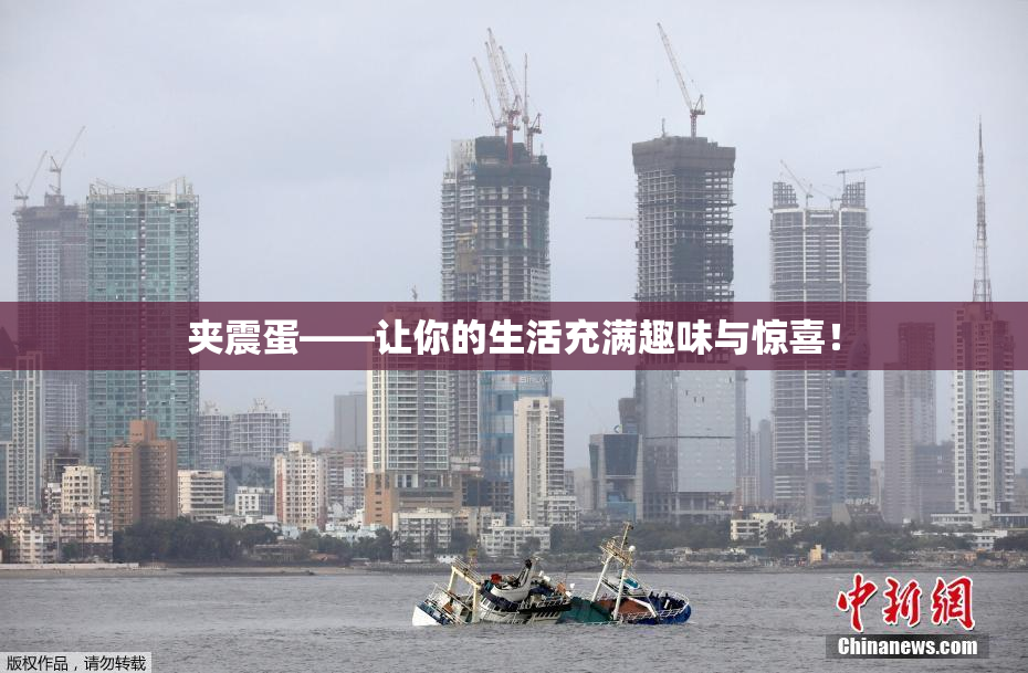 夹震蛋——让你的生活充满趣味与惊喜！
