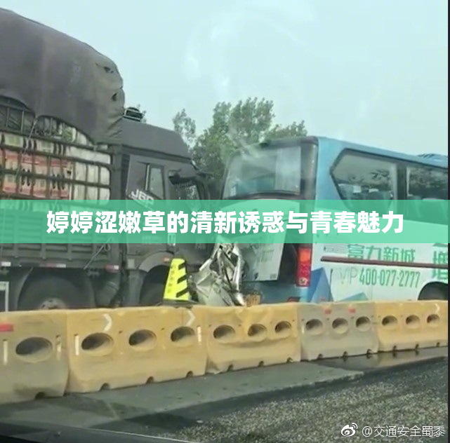 婷婷涩嫩草的清新诱惑与青春魅力