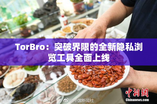 TorBro：突破界限的全新隐私浏览工具全面上线