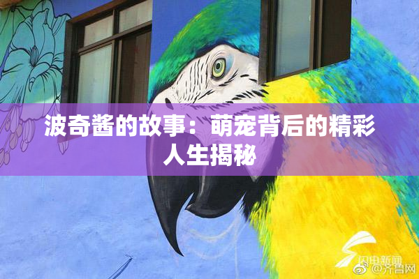 波奇酱的故事：萌宠背后的精彩人生揭秘