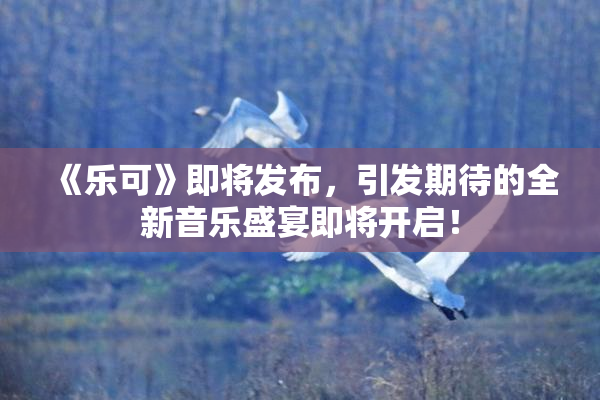 《乐可》即将发布，引发期待的全新音乐盛宴即将开启！
