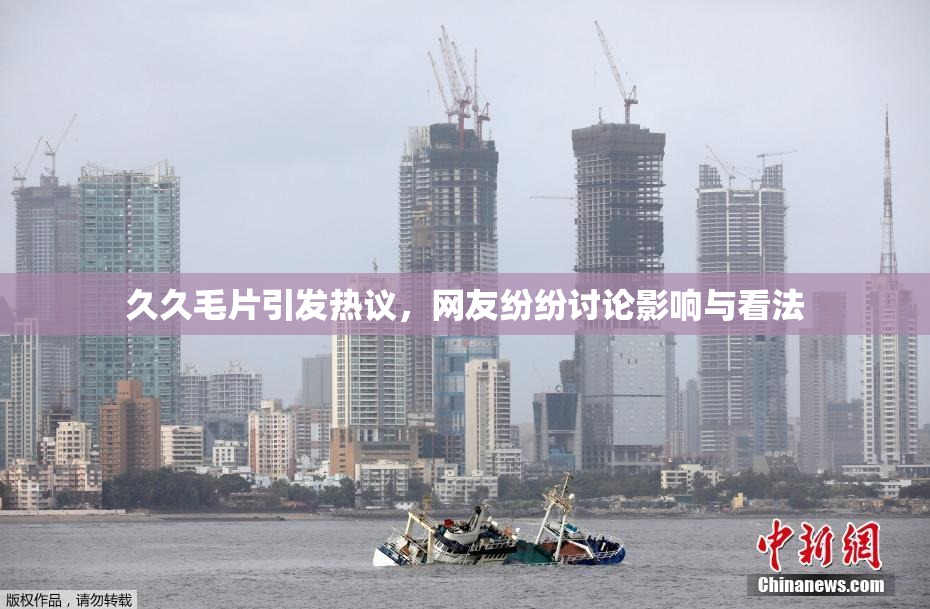 久久毛片引发热议，网友纷纷讨论影响与看法