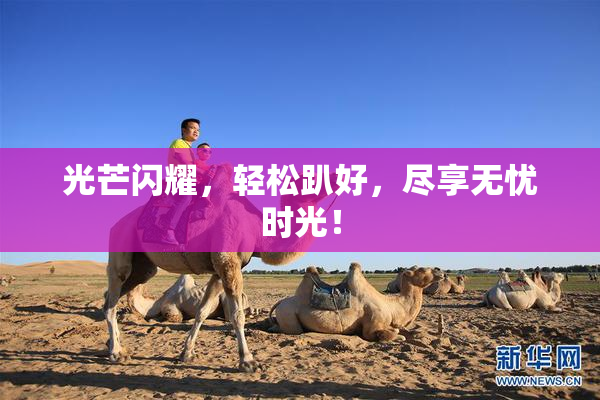 光芒闪耀，轻松趴好，尽享无忧时光！