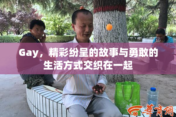 Gay，精彩纷呈的故事与勇敢的生活方式交织在一起