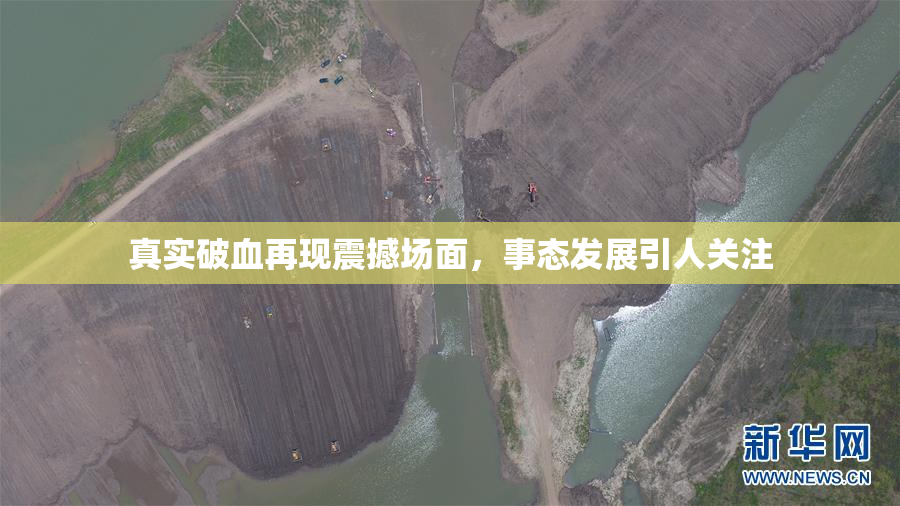真实破血再现震撼场面，事态发展引人关注