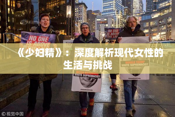 《少妇精》：深度解析现代女性的生活与挑战