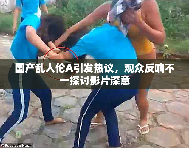 国产乱人伦A引发热议，观众反响不一探讨影片深意