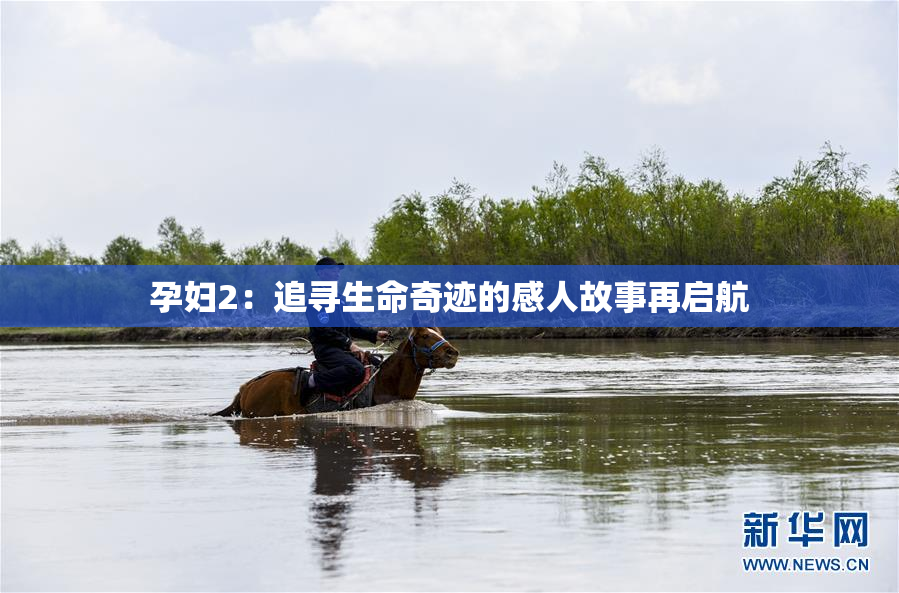 孕妇2：追寻生命奇迹的感人故事再启航