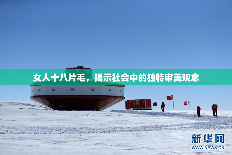 女人十八片毛，揭示社会中的独特审美观念
