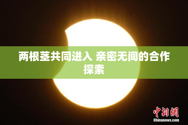 两根茎共同进入 亲密无间的合作探索