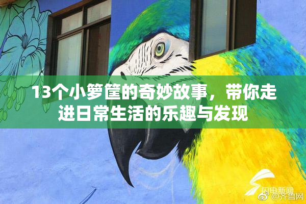 13个小箩筐的奇妙故事，带你走进日常生活的乐趣与发现