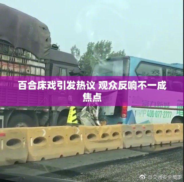 百合床戏引发热议 观众反响不一成焦点