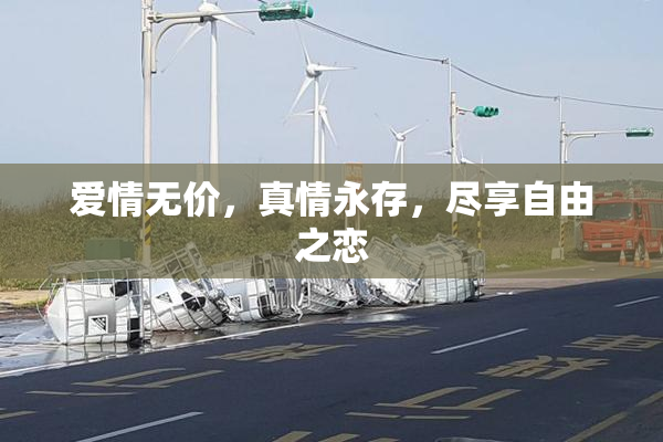 爱情无价，真情永存，尽享自由之恋