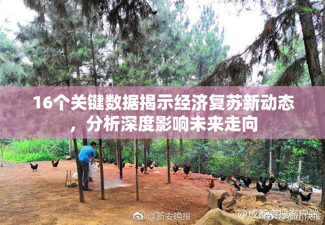 16个关键数据揭示经济复苏新动态，分析深度影响未来走向