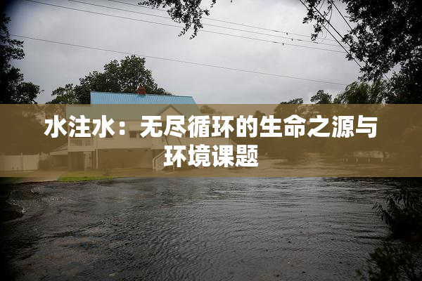 水注水：无尽循环的生命之源与环境课题